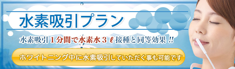 お得なフリープランもご用意しております。