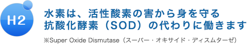 水素は活性酸素の害から身を守る抗酸化酵素（SOD）の代わりに働きます。