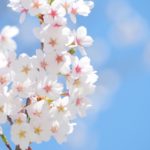 3月21日より回数券特別販売を致します!